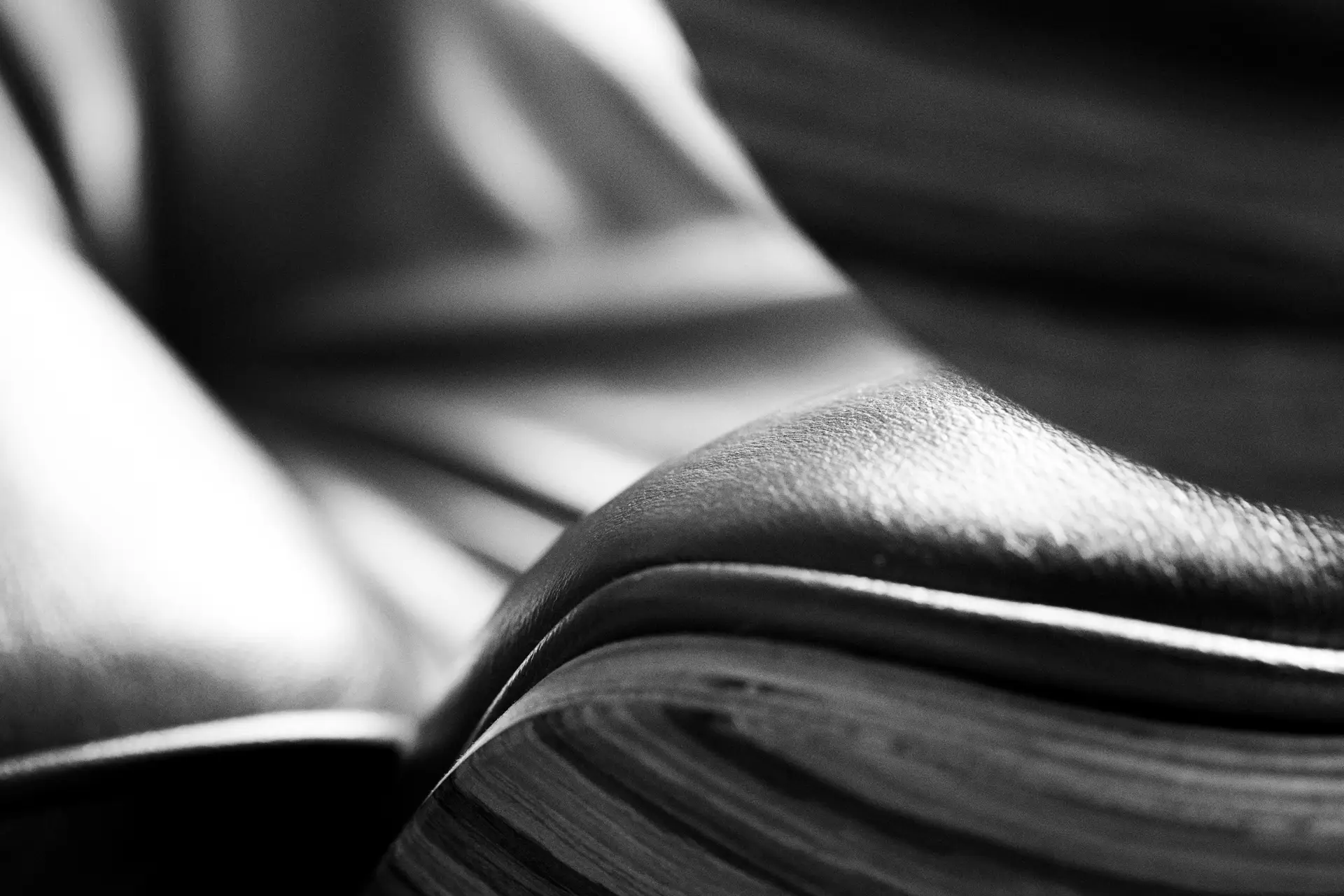 DESIGNLOVR - Eames Lounge Chair - Möbeldesign 1